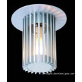 Indoor Anodised Aluminium Ceiling Lamp